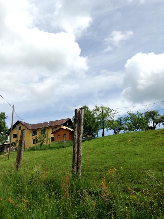 Gasthof-Pension Silvia Haibach ob der Donau Екстериор снимка